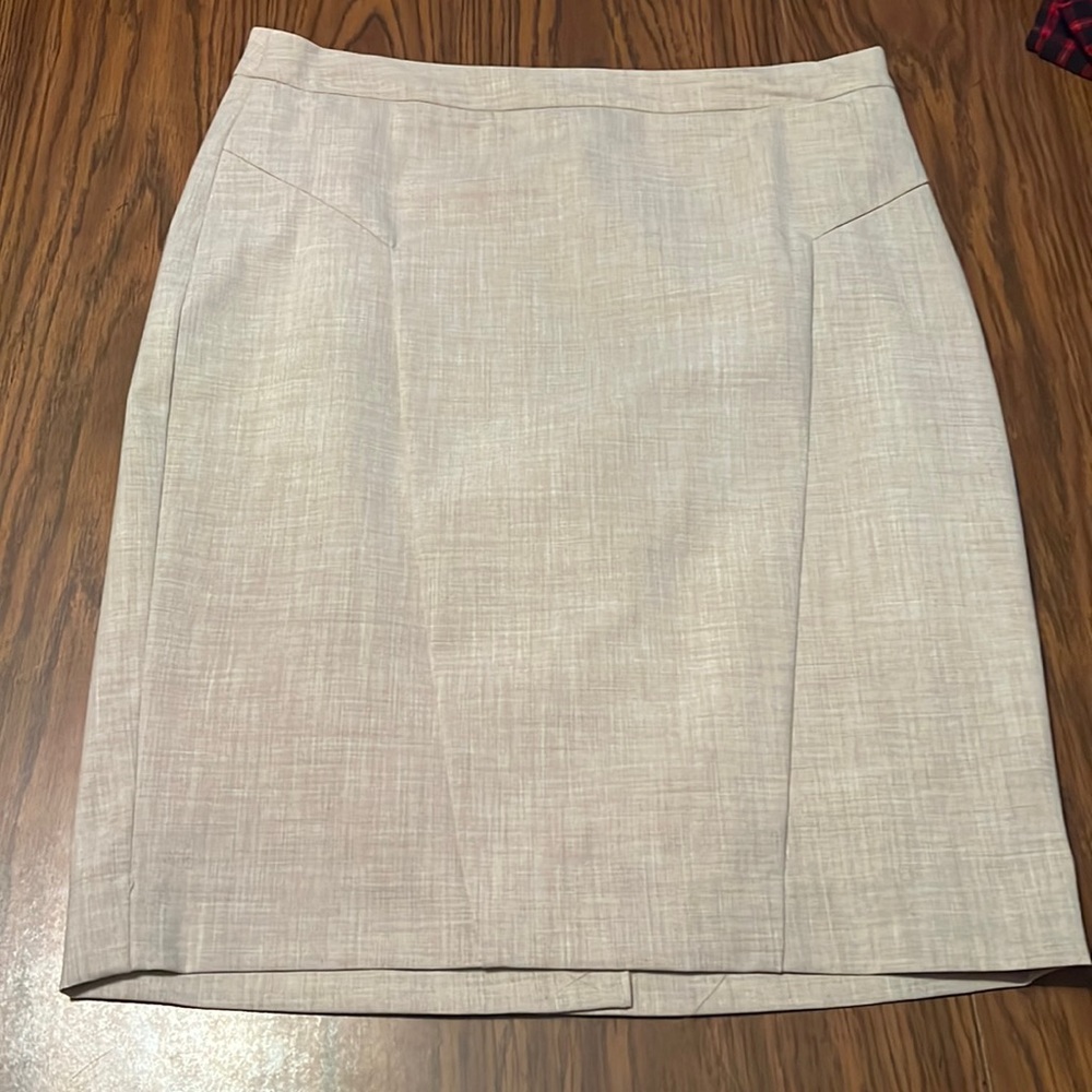 The Limited skirt
